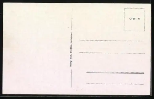 AK Neuhausen i. Erzgebirge, Ortsansicht aus der Vogelschau mit Schloss