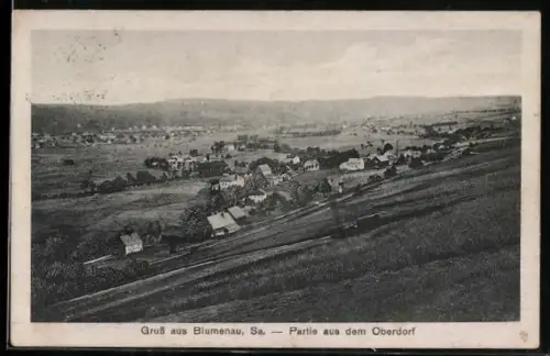 AK Blumenau /Sa., Partie aus dem Oberdorf