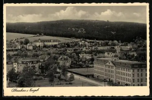 AK Olbernhau / Erzgeb., Ortspartie vom Berg gesehen