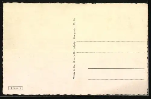 AK Olbernhau / Erzgeb., Ortspartie vom Berg gesehen