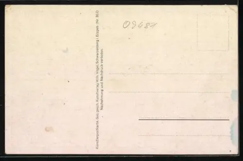 AK Scheibenberg / Sächs. Erzgeb., Ortsansicht mit Königin-Carola-Aussichtsturm