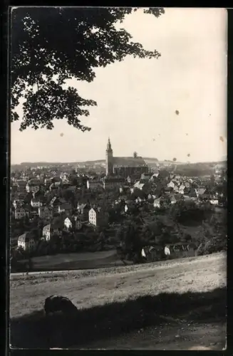 AK Schneeberg /Erzgeb., Totalansicht mit Kirche
