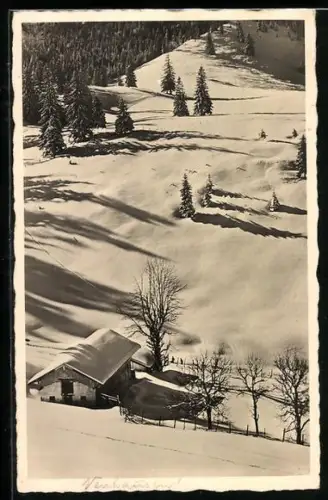 AK Neuhausen /Erzgeb., Winterlandschaft mit Bauernhaus und verschneiten Tannen, Neujahrsgruss Möbelfabrik Carll Helbig