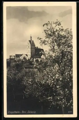 AK Ziegelheim /Leipzig, Ortsansicht mit Kirche