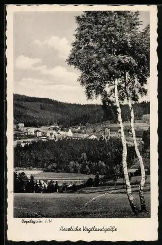 AK Vogelsgrün i. V., Ortsansicht mit Umgebung