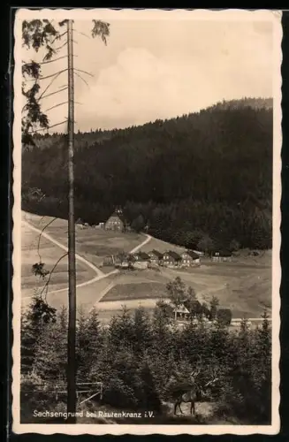 AK Sachsengrund bei Rautenkranz, Gasthaus Schönfelder, Ortsansicht