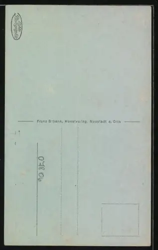 AK Neustadt a. Orla, Rathaus und Strasse