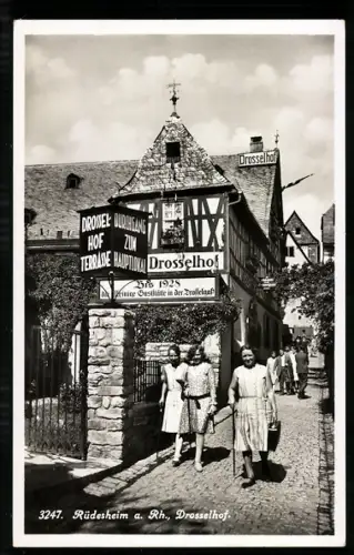 AK Rüdesheim a. Rh., Gasthaus Drosselhof
