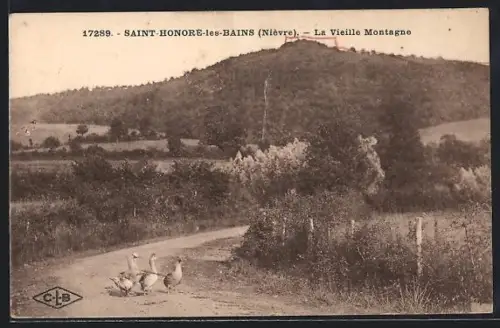 AK Saint-Honoré-les-Bains /Nièvre, La Vieille Montagne et chemin avec des oies