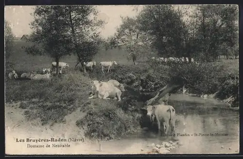 AK Les Bruyères-Radon /Nièvre, Domaine de Neuftable avec vaches près d`un ruisseau