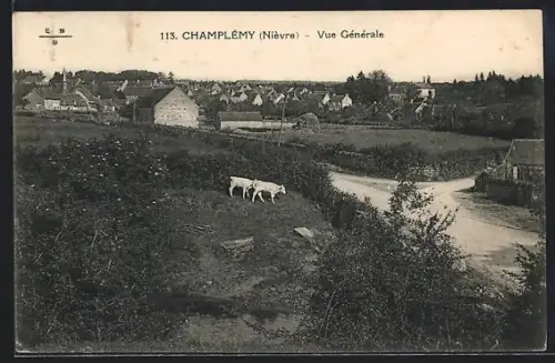 AK Champlemy /Nièvre, Vue Générale