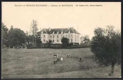 AK Moulins-Engilbert, Château de Montjoux avec pâturage au premier plan