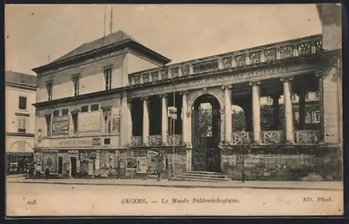 AK Angers, Le Musée Paléontologique