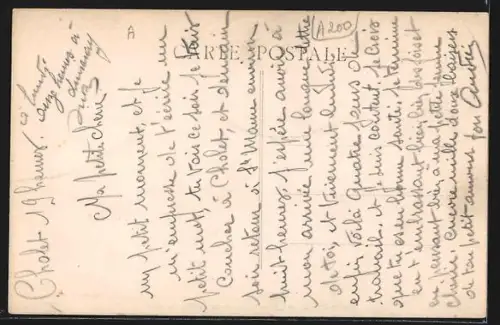 AK Cholet /M.-et-L., Un coin du Jardin de Mail