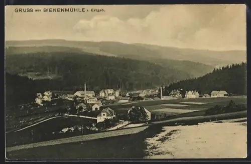 AK Bienenmühle i. Erzgeb., Ortsansicht mit umliegenden Bergen und Feldern