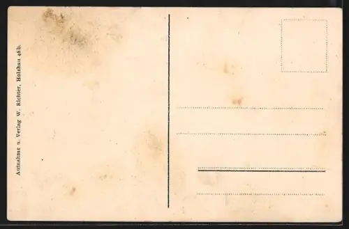 AK Bienenmühle i. Erzgeb., Ortsansicht mit umliegenden Bergen und Feldern