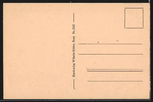 AK Bad Godesberg, Burg Godesburg, Siebengebirge, Stadtansicht