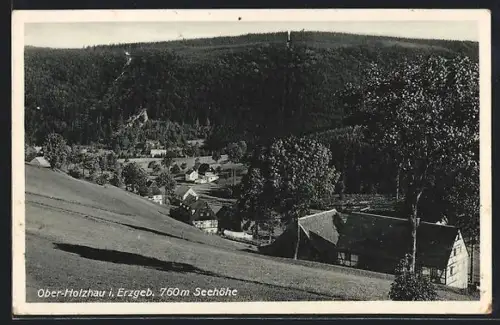 AK Ober-Holzhau /Erzgeb., Ortsansicht aus der Vogelschau