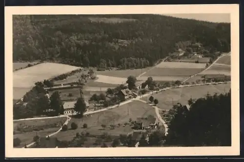 AK Jonsdorf /Zittauer Gebirge, Genesungsheim u. Gasthaus Schweizertal