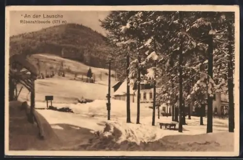 AK Waltersdorf /Zittau, Rübezahlbaude an der Lausche, Winterlandschaft
