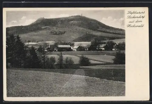 AK Lückendorf /Zittauer Gebirge, Ort u. Hochwald