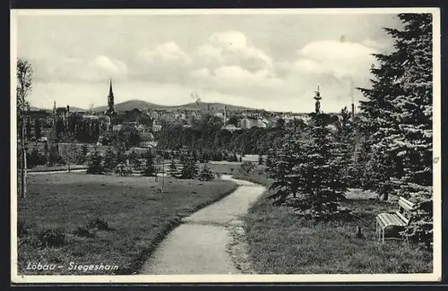 AK Löbau, Siegeshain mit Stadtansicht