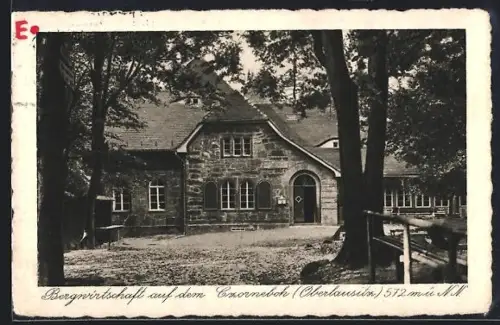 AK Czorneboh /Oberlausitz, Gasthaus Bergwirtschaft auf dem Czorneboh