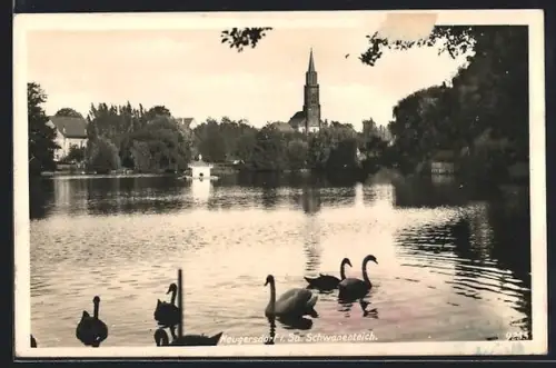 AK Neugersdorf i. Sa., Schwanenteich mit Ortspanorama