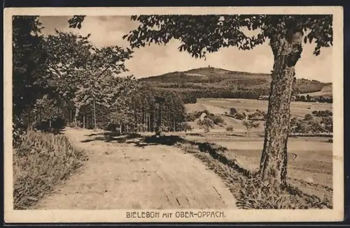 AK Oberoppach, Bieleboh, Landschaftsansicht