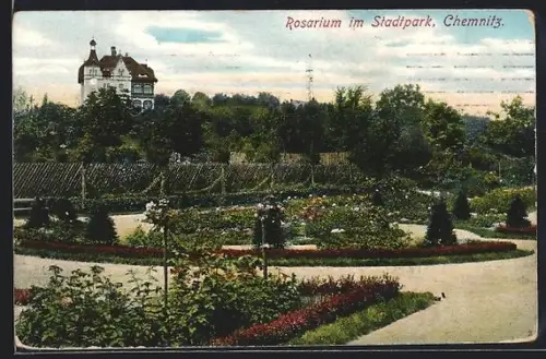 AK Chemnitz, Rosarium im Stadtpark, mit Turmgebäude