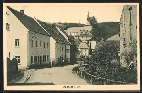 AK Liebstadt i. Sa., Strassenpartie mit Kirche