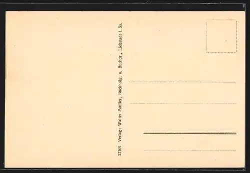 AK Liebstadt i. Sa., Strassenpartie mit Kirche