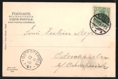 AK Siegen, Blick auf das Schloss vom Hain aus gesehen