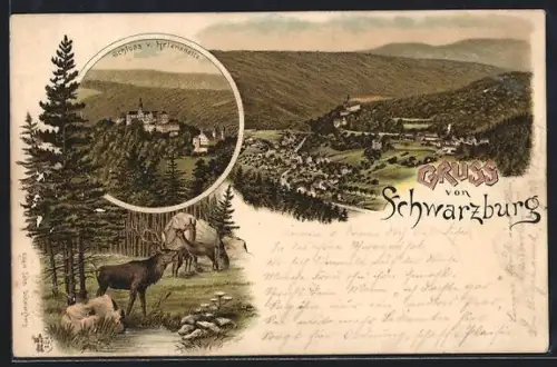 Lithographie Schwarzburg, Gesamtansicht mit Umgebung, Schloss v. Helenensitz, Hirsch