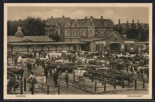 AK Husum / Nordsee, Teilansicht mit Viehmarkt