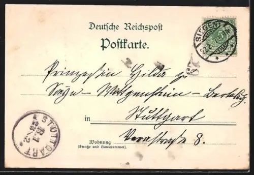 AK Siegen, Kaiserdenkmal, Eremitage, oberes Schloss, Ortspanorama