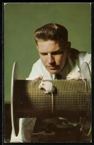 AK Amerkika, Lederle Laboratories Division, American Cynamid Company, Junger Mann forscht an Ratten