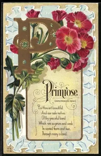 Präge-AK Primrosen an dem Buchstabe P