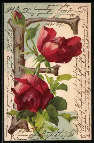 AK Rote Rosenblüten zieren den Buchstaben F