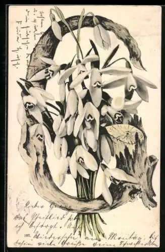 AK Krokusse am Buchstaben G