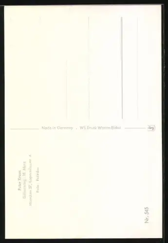 AK Musiker Peter Kraus blickt in die Kamera