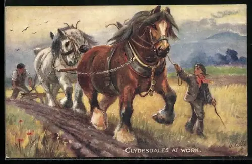 AK Clydesdales at Work