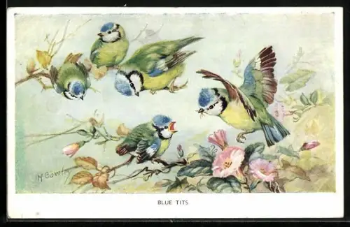 AK Blue Tits