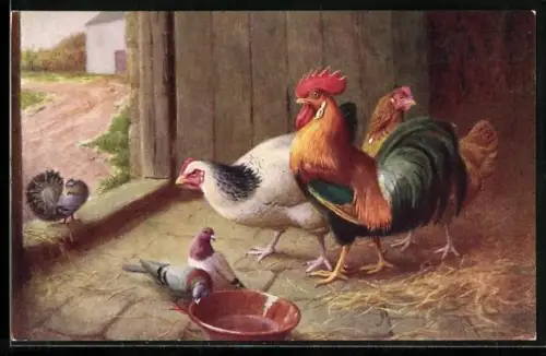 AK Hühner und Tauben in einem Stalleingang