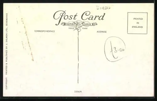 AK Hühner und Tauben in einem Stalleingang