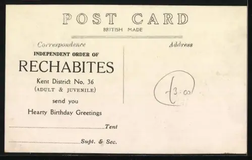 AK Zwei Kakadus auf einer Stange