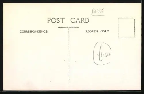 Foto-AK Hühner in einem Freigehege