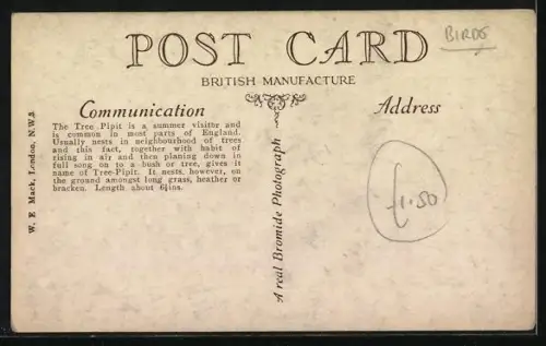 AK Baumpiper bringt Jungen im Nest Würmer