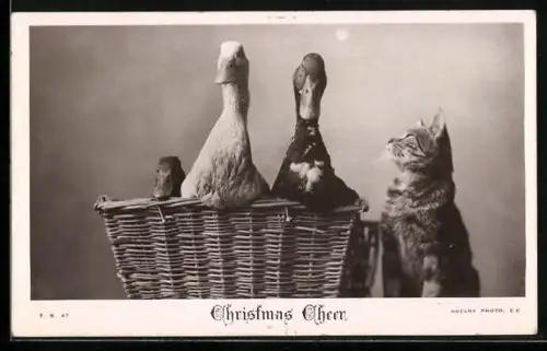 AK Gänse im Korb und Katze, Weihnachtsgruss