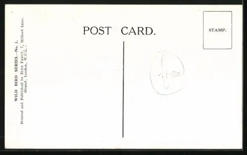 AK Chiff-Chaff, Portrait